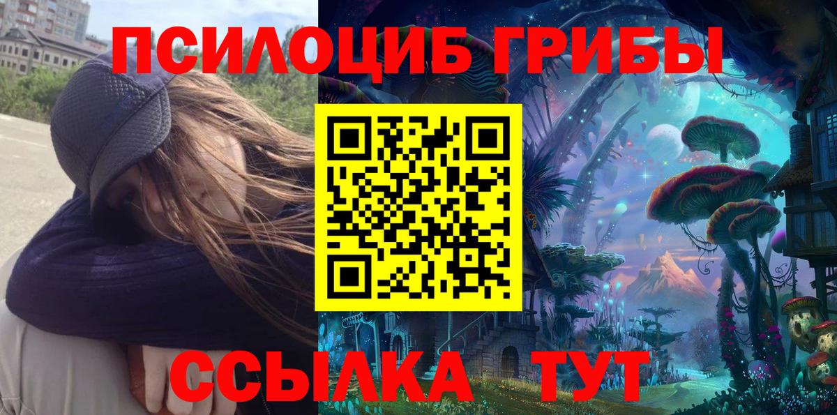 Галлюциногенные грибы мицелий  Галлюциногенные грибы Psilocybe  Вход с VPN  Юрга 